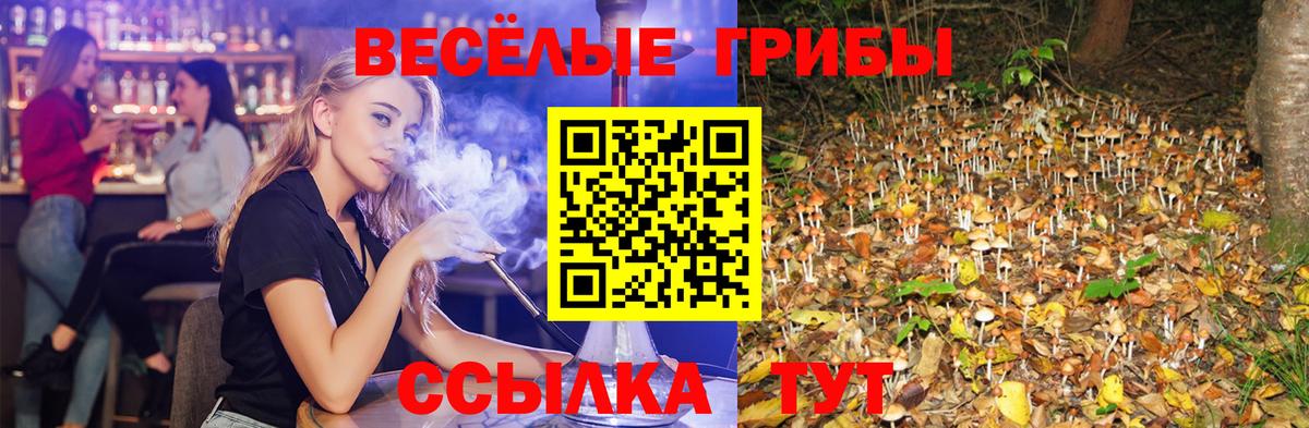Карабулак  Галлюциногенные грибы GOLDEN TEACHER  Вход с VPN  Галлюциногенные грибы Cubensis 