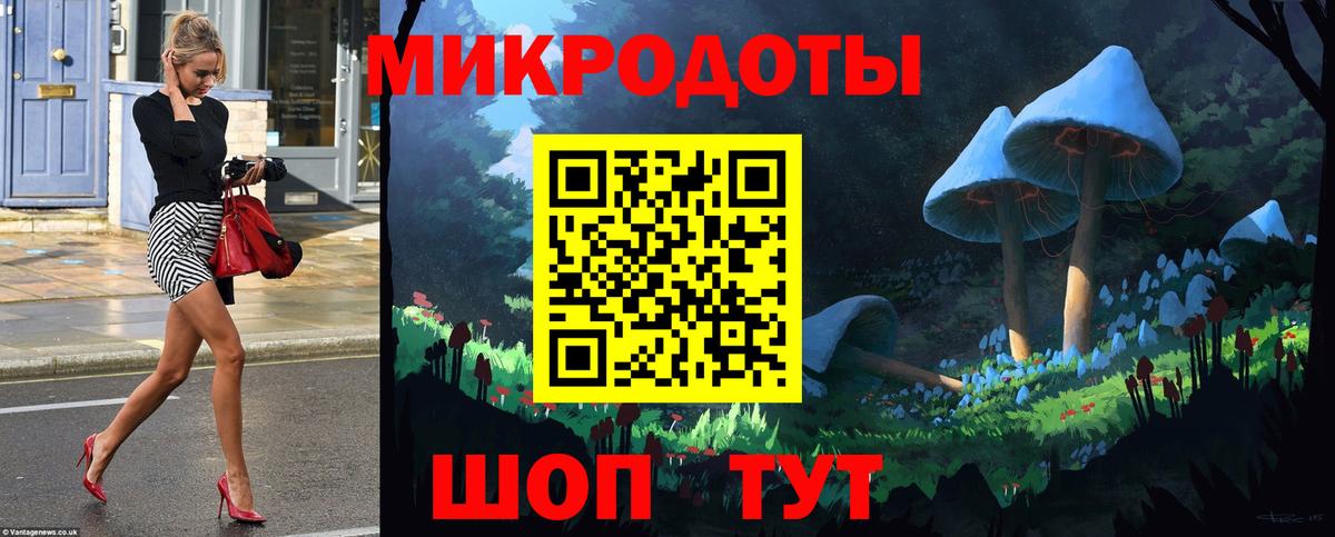 Галлюциногенные грибы Psilocybe Карабулак